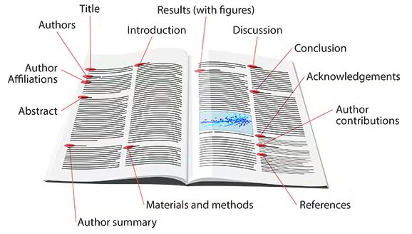 Diagram of an open journal with labels pointing to each part of a research paper, from the title, authors and abstract to the results, discussion and references