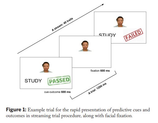 Diagram of three stacked trial screens: a woman's face with STUDY and a PASSED stamp, a face-only fixation screen, and a face with STUDY and a FAILED stamp, labeled with 600 ms timings