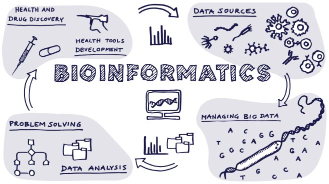 Hand-drawn diagram labeled Bioinformatics, with arrows linking data sources, managing big data, data analysis, problem solving, and health and drug discovery