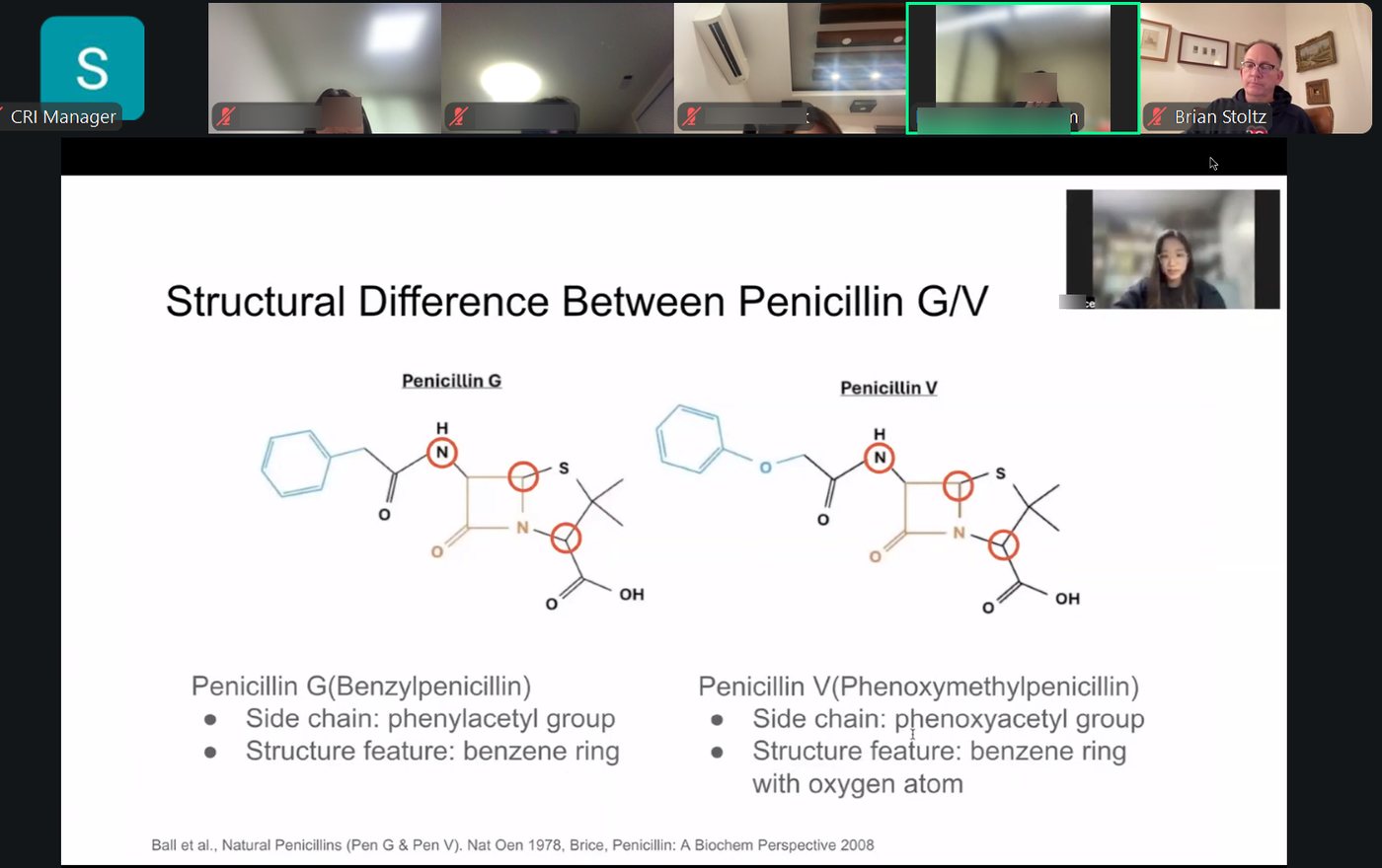Zoom screen showing a slide titled Structural Difference Between Penicillin G/V with two annotated molecular structures, a student presenting in a small video inset, and Brian Stoltz in a tile at top right