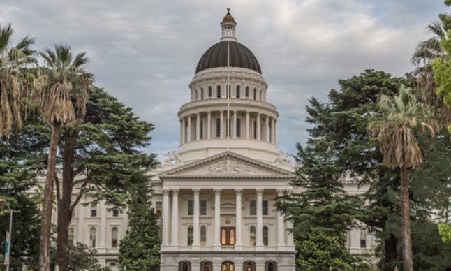 The domed California State Capitol building framed by palm trees and pines under a cloudy sky